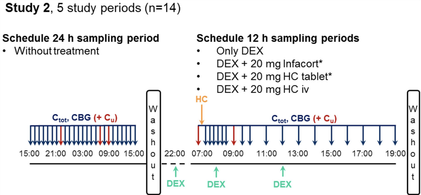 Study design of the clinical trial